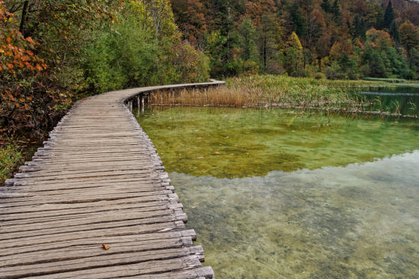istock Wooden path over a lake 1438295523