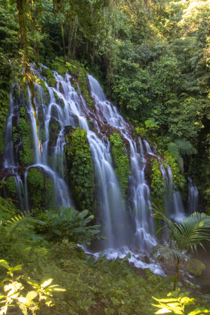 istock Waterfall Banyuwana Amertha in Bali 1438296510