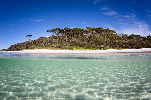 Under over seascape of clear ocean water, white sand beach and bushland