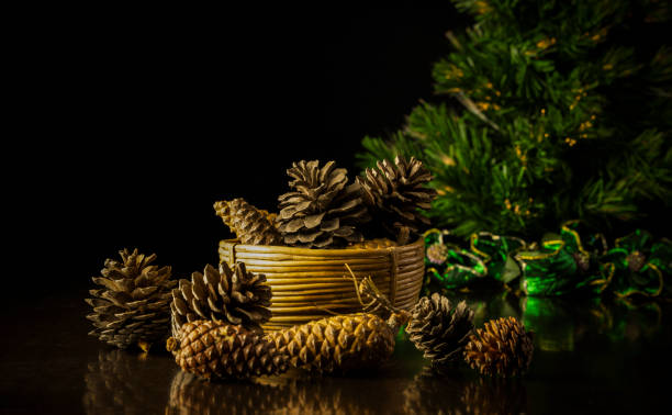 Still life of pine cones with Christmas tree on black background