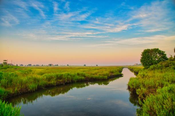 istock Scenic view of a reflective river flowing through the green fields at sunset 1438300426