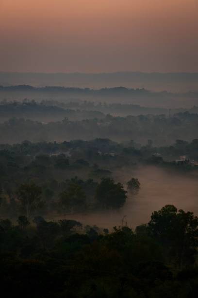 istock Greenery field at sunset in a mist 1438300625