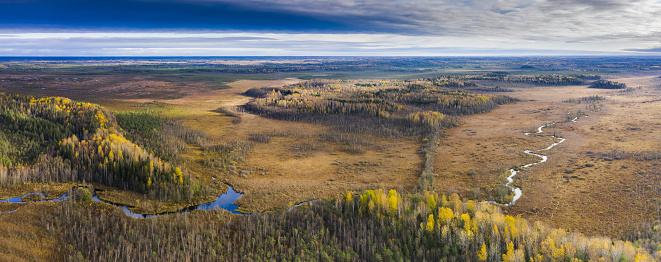 Aerial panoramic view to the autumn colored wilderness landscape with the natural meandering stream on the swampy floodplain, post glacial hills