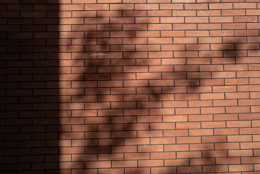 Tree shadows on red brick wall in the park