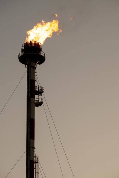 istock industrial complex in a petrochemical refinery 1438303789