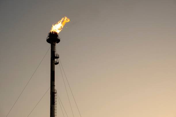 istock industrial complex in a petrochemical refinery 1438303792