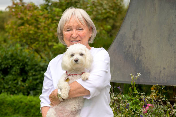 istock Elderly lady holding her dog 1438305010