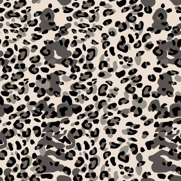 970+ Snow Leopard Vector Stock Illustrations, Royalty-Free Vector ...