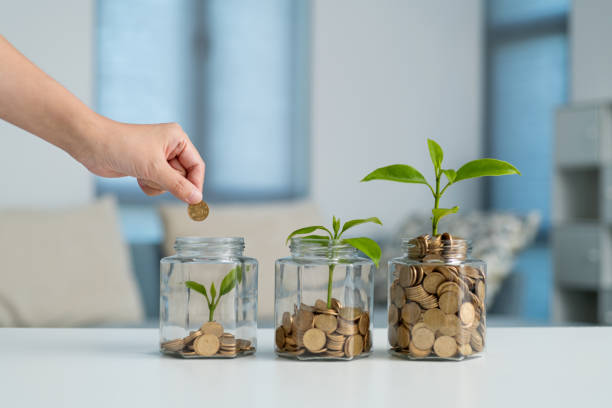 istock Human hand putting coin in the jar with plant 1438305996