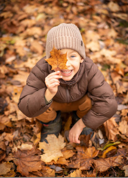 istock A little boy sits in autumn foliage and covers his face with a maple leaf 1438306534
