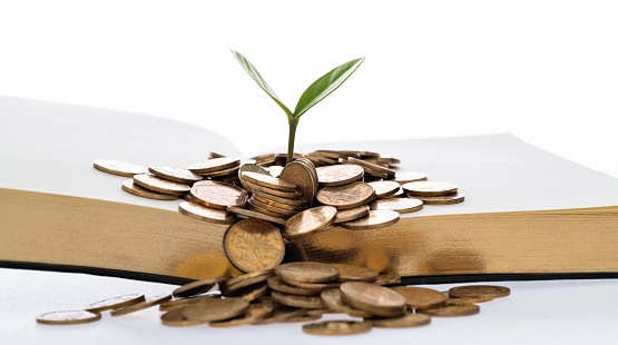 Green plant growing out of book with coins.