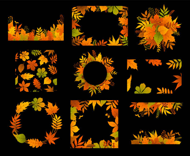 seasonal fall festive  leaves bush twigs branches plants banner backgrounds set, autumn park foliage botanical frames and borders  on black collection, isolated vector illustration seasonal fall festive  leaves bush twigs branches plants banner backgrounds set, autumn park foliage botanical frames and borders on black  collection, isolated vector illustration aspen leaf stock illustrations