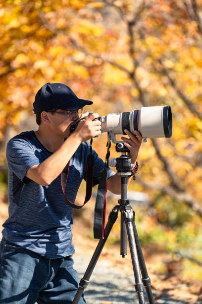 istock Man using a DSLR camera in a forest in autumn 1438310102