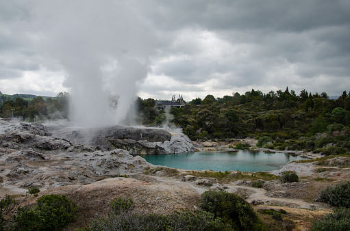 A beautiful view of the Te Puia geyser in Rotorua, New Zealand