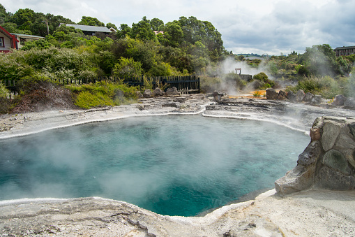 A beautiful view of the Te Puia geyser in Rotorua, New Zealand