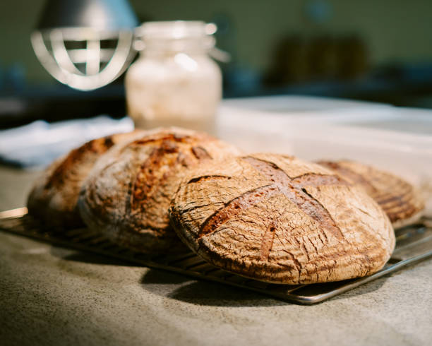 istock Closeup of freshly baked rusty crusty home-made bread 1438314110