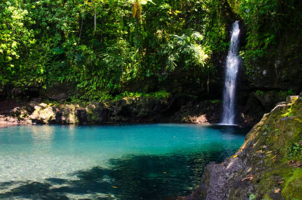 istock Mesmerizing shot of Afu Aau waterfall in Samoa 1438314599