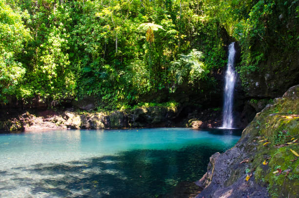 istock Mesmerizing shot of Afu Aau waterfall in Samoa 1438314640