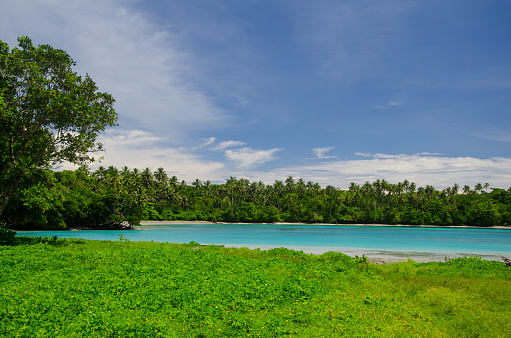 A landscape of the sea surrounded by greenery under a blue cloudy sky in the Savai'i Island, Samoa