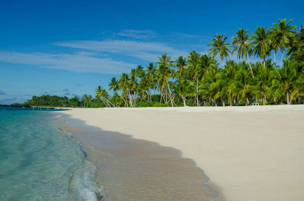 istock Falealupo Beach surrounded by the sea and palm trees under the sunlight in Samoa 1438315302