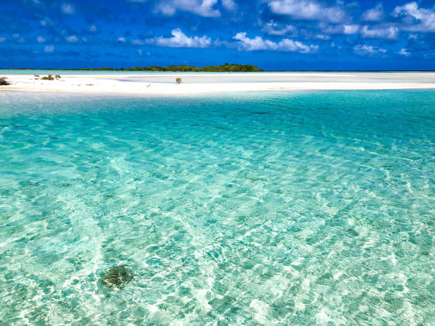 istock Tikehau lagoon in French Polynesia 1438315628