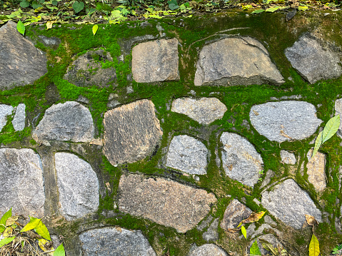 Stock photo showing close-up, elevated view of landscaped oriental-style garden with natural stone stepping stone pathway through green moss.