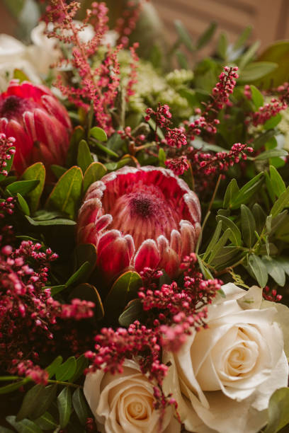 istock Bunch of red protea flowers. 1438316203