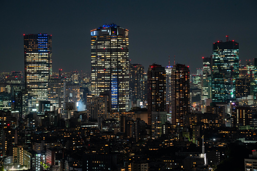 Night view of Tokyo Metropolitan city in Autumn.