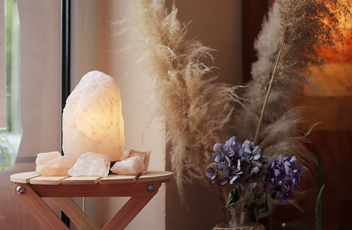 Beautiful interior design with a salt lamp and plants