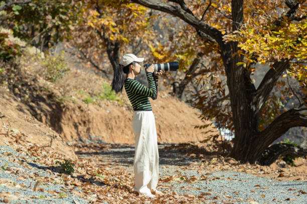 Free Stock Photo of Autumn foliage and photographer with camera ...