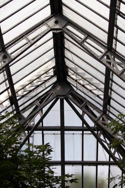 istock Vertical of a greenhouse from inside 1438318396