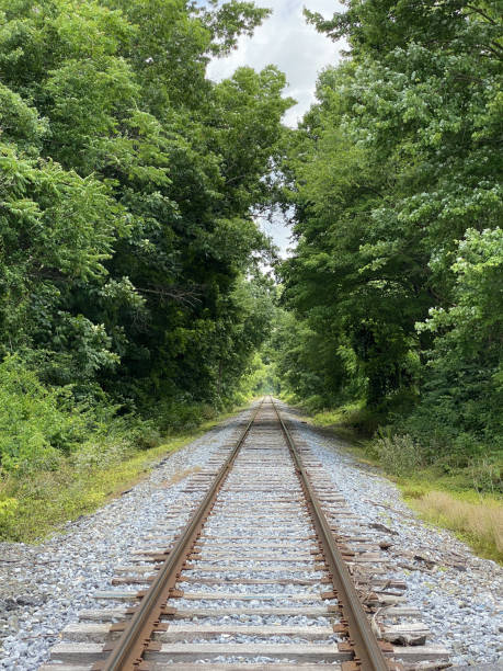 istock Vertical shot of train rails surrounded by trees 1438319136