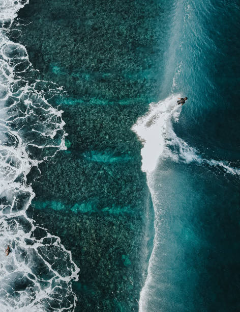 istock Surfing on blue waves wallpaper 1438319206