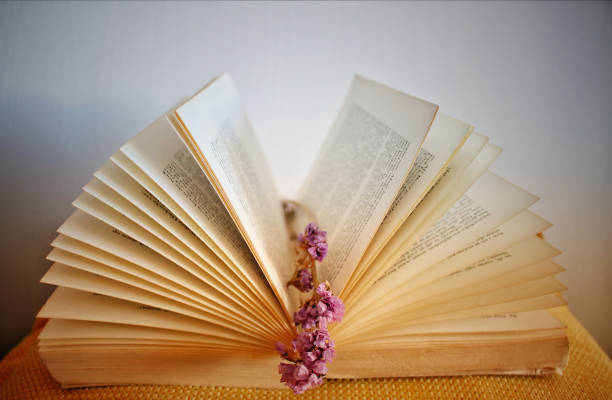 istock Closeup of dried flowers in between book sheets on the table 1438319875