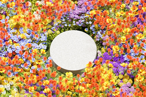 3d render platform and Natural podium background on colorful flowes field for product display, Blank showcase, mock up template or cosmetic presentation with empty round stage