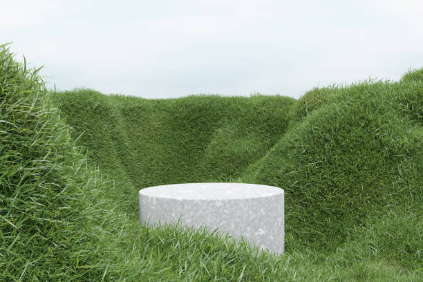istock 3d render platform and Natural podium background on the mountain grass field, cloud and sky for product stand display advertising cosmetic beauty products or skincare with empty round stage 1438321202