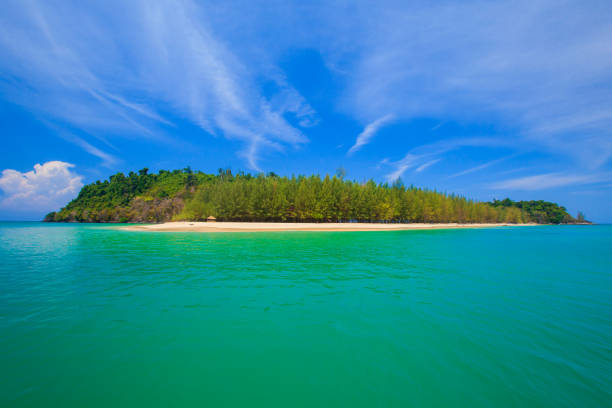 knockout, shark, thailand, asia, bay of water - phuket province beach blue cliff imagens e fotografias de stock