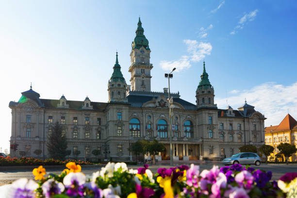 istock Gyor City Hall, Hungary 1438326880