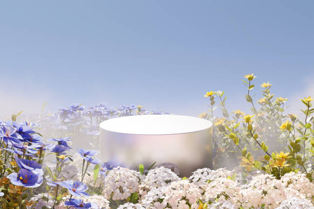 istock 3D rendering, Platform and natural podium background on colorful flowers field with mist on morning for product  stand display advertising cosmetic beauty products or skincare with empty round stage 1438329715
