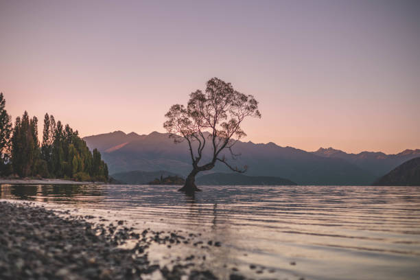 istock Beauty loneliness 1438330816