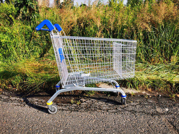 istock empty shopping cart in the park 1438334315
