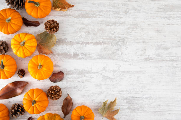 istock Thanksgiving Day or Autumn Gourds Holiday Background 1438334481