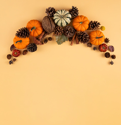 Border of autumn rustic yellow, red and orange flowers and mini white and orange pumpkins with gourds on a white background with copy space