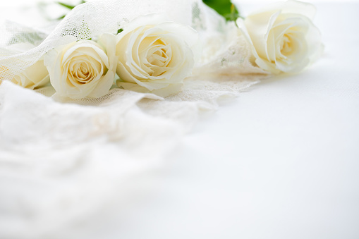 white rose, wedding, bouquet, background