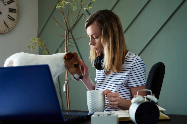 istock Woman working at home office with pet using laptop 1438337987
