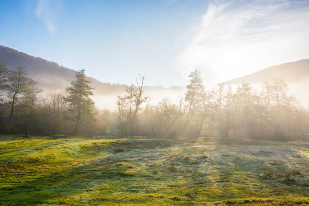 istock transcarpathian countryside in autumn 1438339348