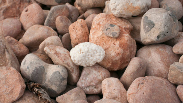 istock Plastic foam and pebbles in a beach 1438340985