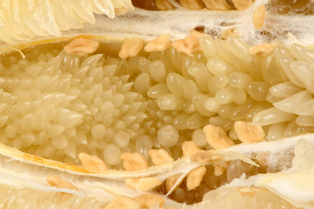Background made of pomelo. High resolution photo. Full depth of field.