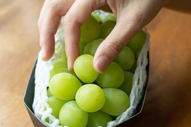 Delicious Shine Muscat