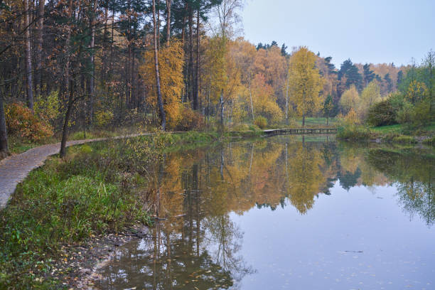 istock Pond surrounded by yellow trees in afternoon. 1438342473
